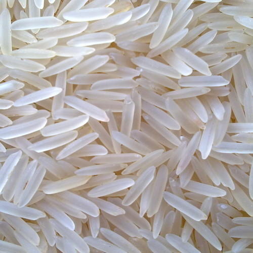 1121 SELLA RICE-image