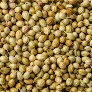 CORIANDER SEEDS-image