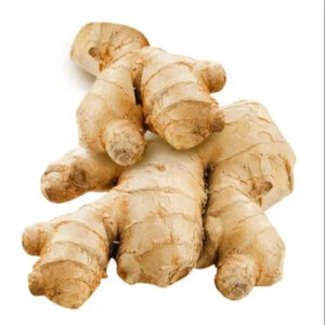 GINGER-image